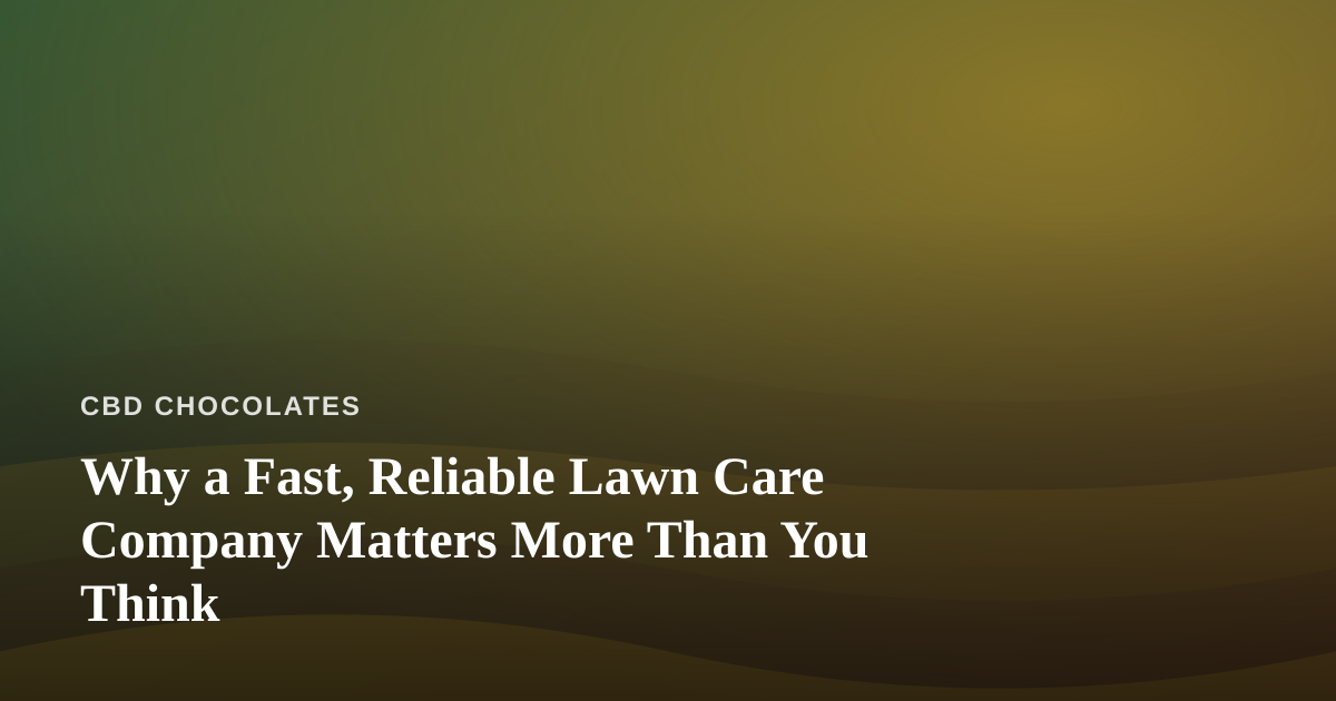 Why a Fast, Reliable Lawn Care Company Matters More Than You Think